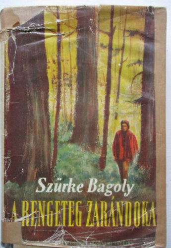 A rengeteg zarndokai (Dr. Baktay Ervin fordtsa)