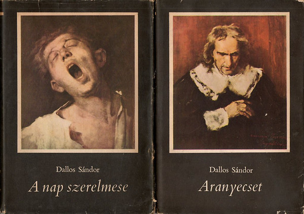 A Nap szerelmese - Aranyecset (Munk�csy Mih�ly  reg�nyes �lete I-II.)