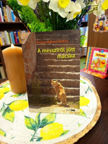 A messzir�l j�tt macska
