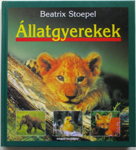 llatgyerekek