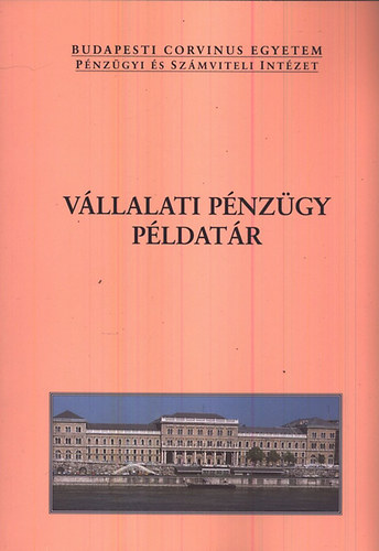 Vllalati pnzgy pldatr