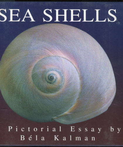 Sea shells - A pictorial essay by Bla Kalman