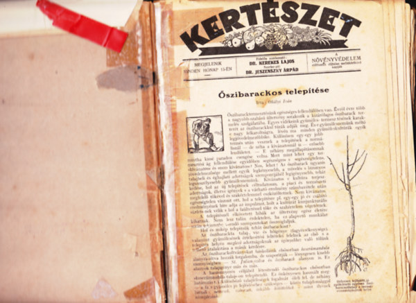 Kert�szet 1928 - N�v�nyv�delem 1928 (egybek�tve)