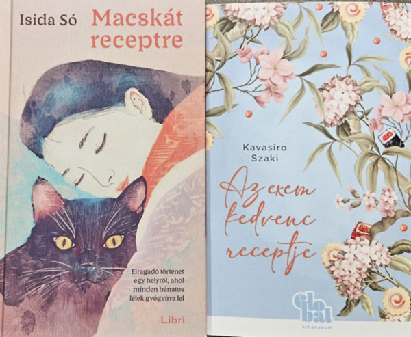 2 db romantikus japn regny: Az exem kedvenc recepje + Macskt receptre