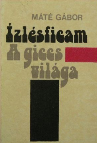 zlsficam - A GICCS VILGA