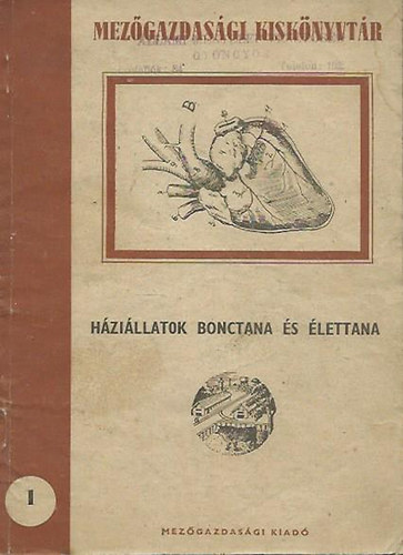 Hzillatok bonctana s lettana