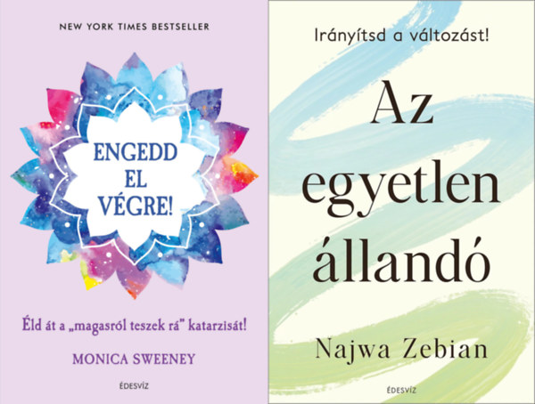 2 db nfejleszt knyv: Az egyetlen lland + Engedd el vgre!