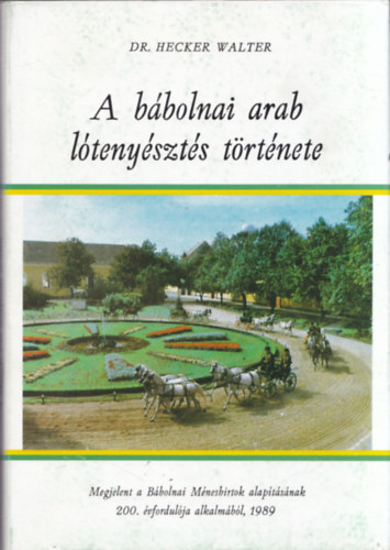 A bbolnai arab ltenyszts trtnete