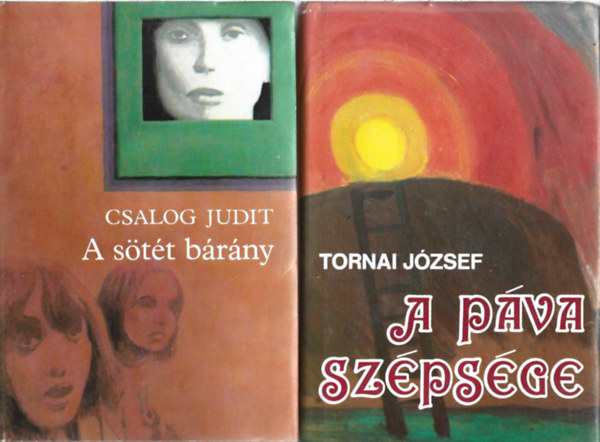 2 db k�nyv, Csalog Judit: A s�t�t b�r�ny, Tornai J�zsef: A p�va sz�ps�ge