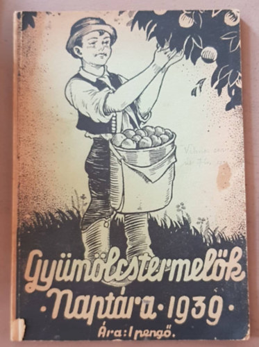 Gy�m�lcstermel�k napt�ra az 1939. �vre