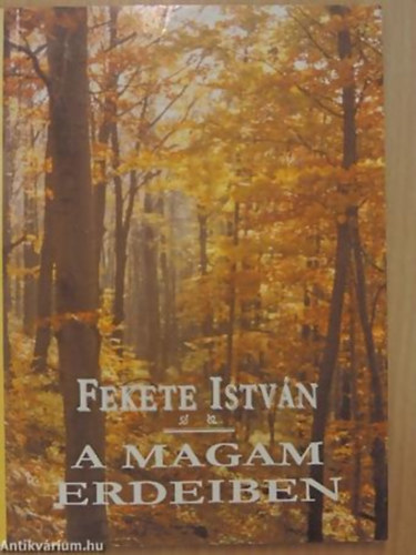 A magam erdeiben