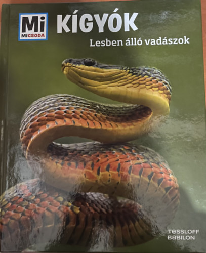 K�gy�k - Lesben �ll� vad�szok (Mi micsoda)