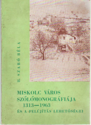 Miskolc vros szlmonogrfija 1313-1963 s a feljts lehetsgei