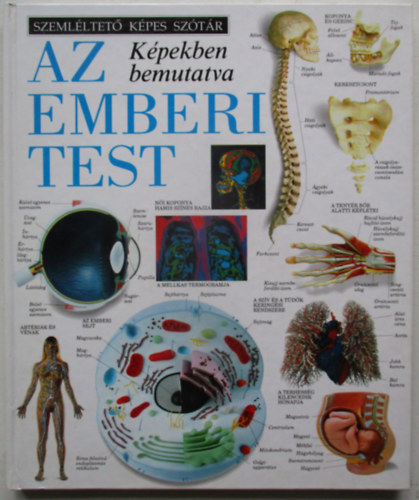 Az emberi test k�pekben bemutatva (Szeml�ltet� k�pes sz�t�r)