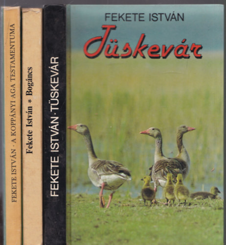 3 db. Fekete Istvn regny (Tskevr + Bogncs + A koppnyi aga testamentuma)