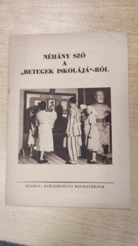 N�h�ny sz� a "betegek iskol�j�"-r�l prospektus