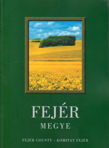 Fejr megye (magyar-angol-nmet)