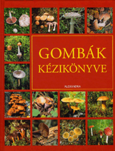 Gombk kziknyve