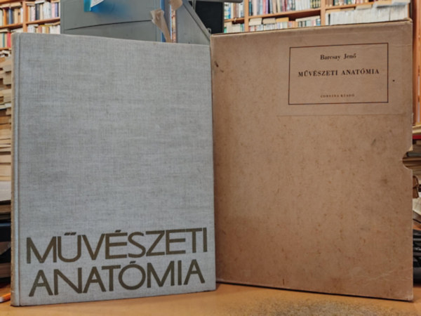 Mvszeti anatmia