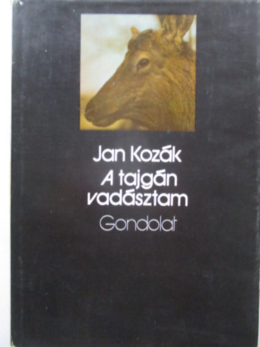 A tajgn vadsztam