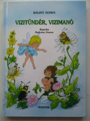 Vizitndr, viziman