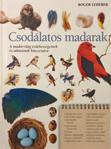 Csodlatos madarak