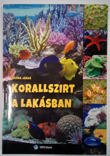 Korallszirt a laksban