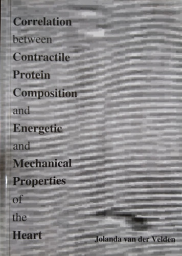 Correlation between Contractile Protein Compositon and Energetic and Mechanical Properties of the Heart