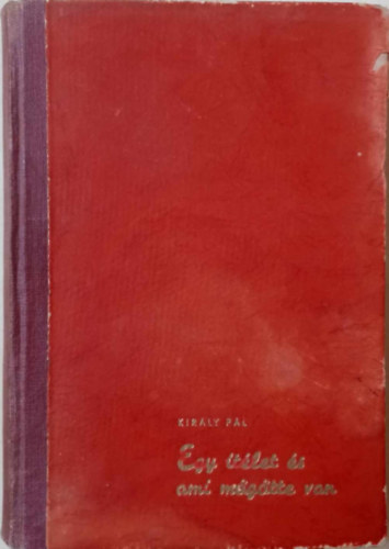 Kir�ly P�l - Egy �t�let �s ami m�g�tte van (a 101/31. �s a 101/33. t�bori munk�ssz�zadok t�rt�nete