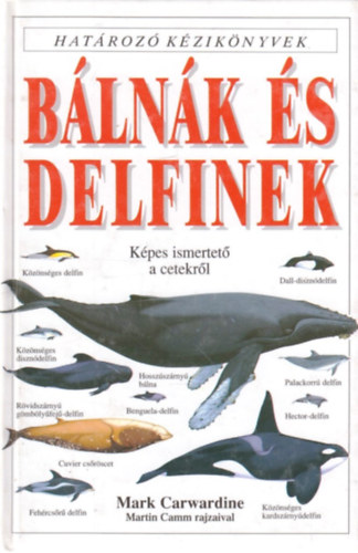 Blnk s delfinek (Hatroz kziknyvek)