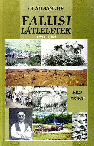 Falusi ltleletek (1991-2003)