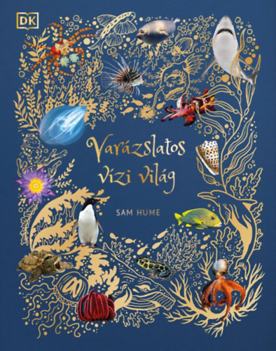 Varzslatos vzi vilg