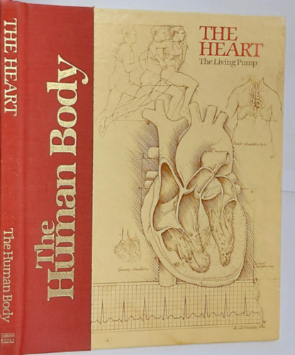 The Heart: The Living Pump - Human Body Series (A szv - Emberi test sorozat, angol nyelven)