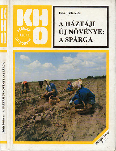 A hztji j nvnye: a sprga