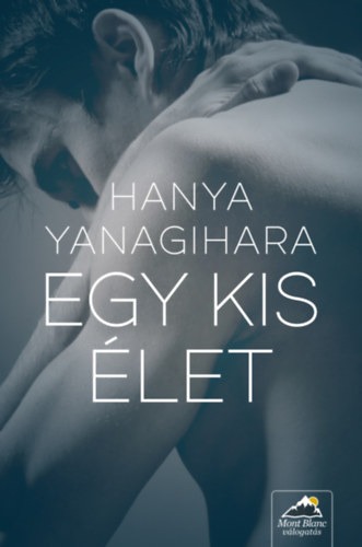 Hanya Yanagihara - Egy kis let