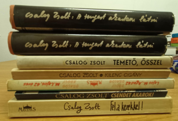Csalog Zsolt - Csalog Zsolt knyvcsomag