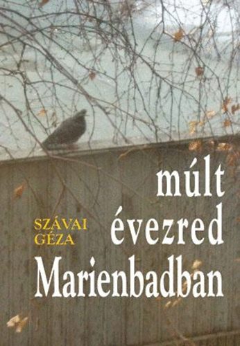 Mlt vezred Marienbadban