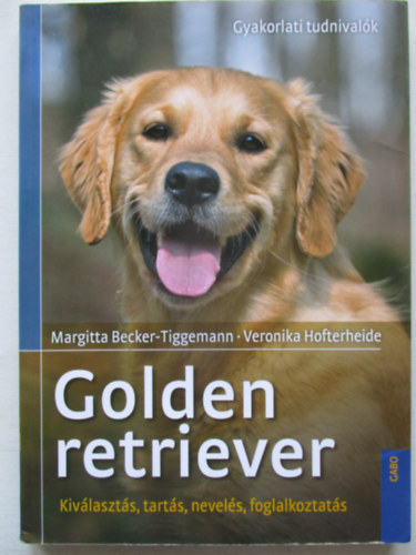 Golden retriever
