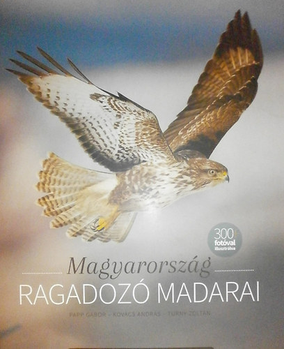Magyarorsz�g ragadoz� madarai