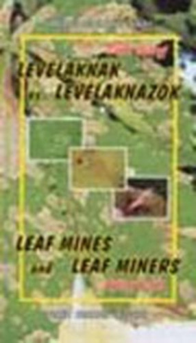 Lev�lakn�k �s lev�lakn�z�k