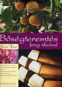 Bsgteremts feng shuival