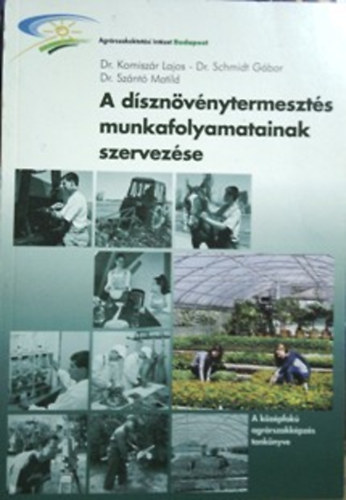 A dsznvnytermeszts munkafolyamatainak szervezse