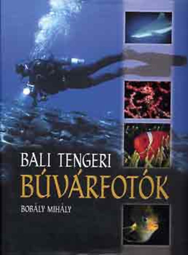 Bali tengeri bvrfotk