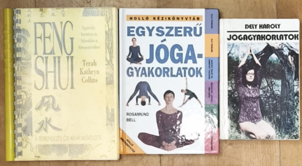 3db j�g�val, feng shuival kapcsolatos �letm�dot seg�t� m� - J�gagyakorlatok, Egyszer� j�gagyakorlatok, Feng shui-A t�rrendez�s �si k�nai m�v�szete