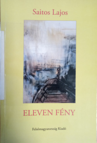 Eleven fny