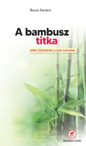 A bambusz titka