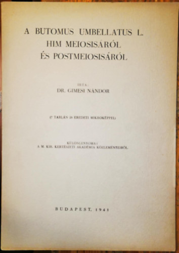 A Butomus umbellatus him meiosisrl s postmeiosisrl