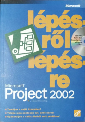 Microsoft Project 2002 lpsrl lpsre