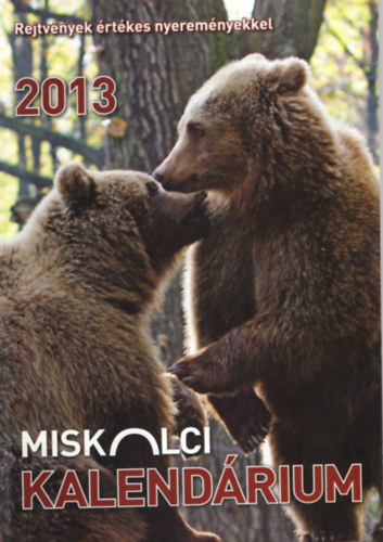 Csrnk Mariann  (szerk.) - Miskolci Kalendrium 2013