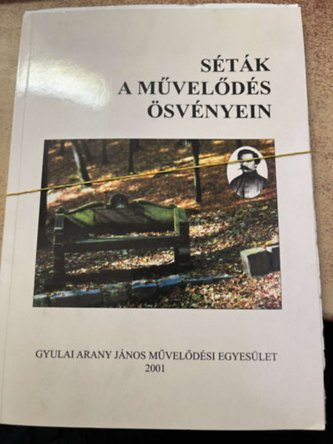 S�t�k a m�vel�d�s �sv�nyein - Egyes�leti est�k